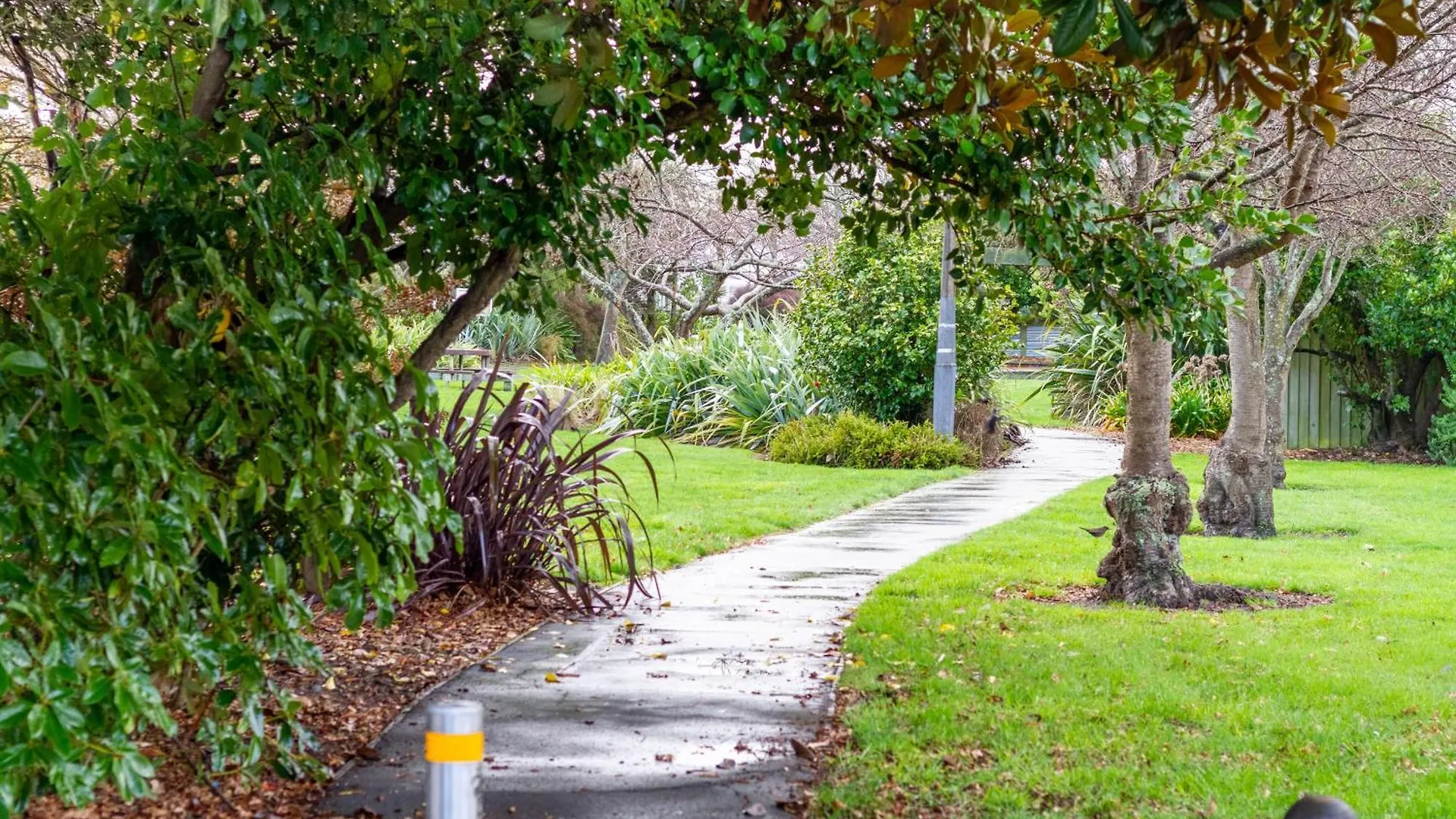 Warm Chch Apartment Park View & Garage Parking Christchurch 0*,  Nowa Zelandia